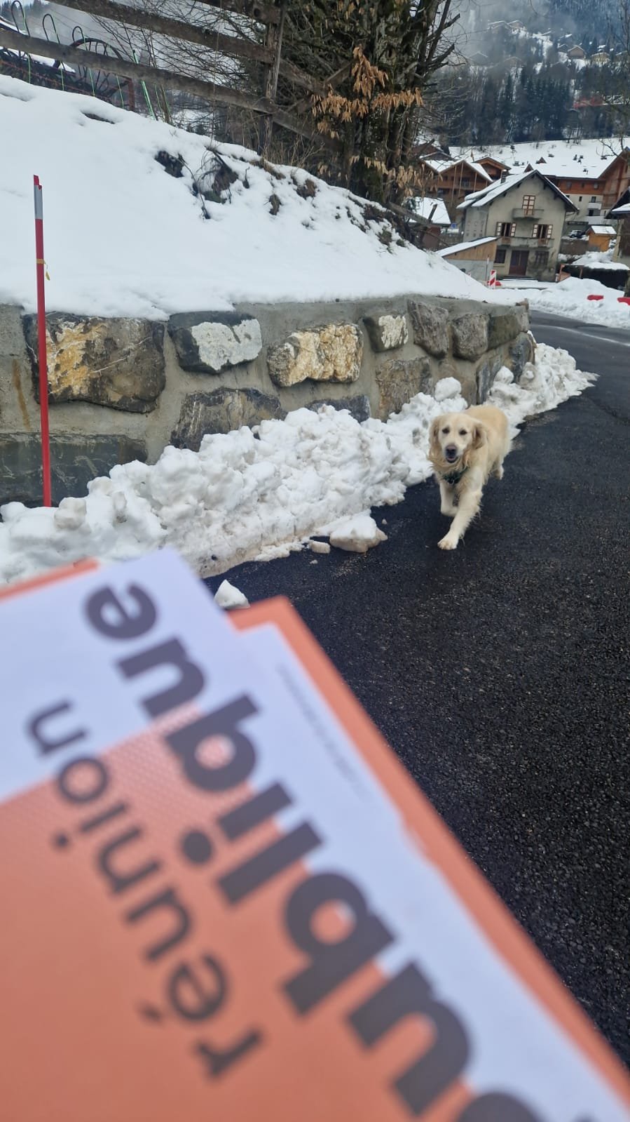 🐕 Une distribution d’invitation à notre réunion publique  toujours bien accompagné ! 